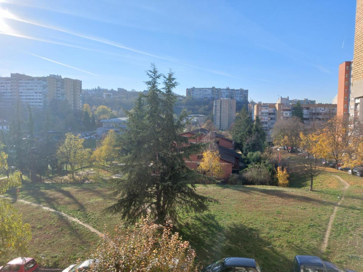 Apartman 22 Belgrad Dış mekan fotoğraf